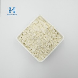 Lactobacillus Reuteri Powder Factory - Manufacture Supply Probiotics Powder Best Price