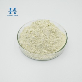Lactobacillus Casei Powder Factory - Food Grade Women Bulk Powder for Food Ingredient