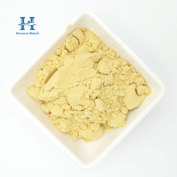 Ginseng Peptide Powder Manufacturer - Factory Wholesale Panax Ginseng Peptide Supplement