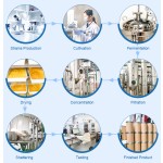 Lactobacillus Reuteri Powder Factory - Manufacture Supply Probiotics Powder Best Price