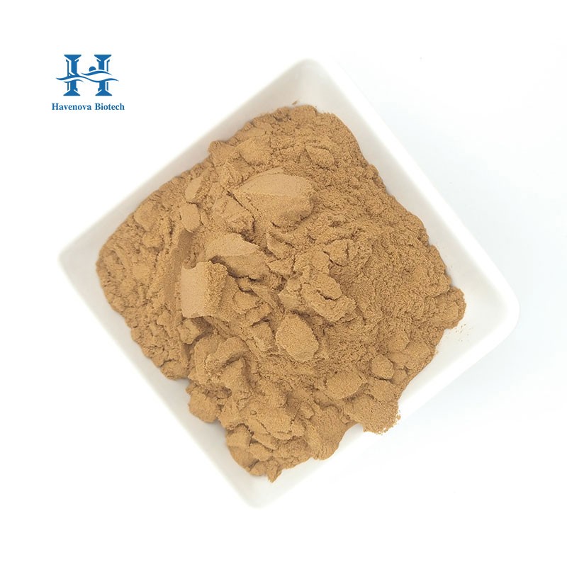 Artichoke Leaf Extract Factory - Free Sample Natural Cynarine Powder 2.5%-5%
