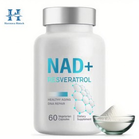 NAD Powder Supplier - CAS 53-84-9 Nicotinamide Adenine Dinucleotide 99%