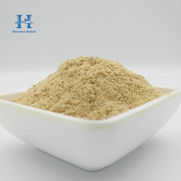 Yucca Schidigera Powder Supplier - Bulk Price Feed Grade Extract 30%-80%