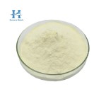 Papain Enzyme Powder Manufacturer - Natural Papaya Extract Enzyme Powder