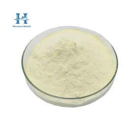 Papain Enzyme Powder Manufacturer - Natural Papaya Extract Enzyme Powder