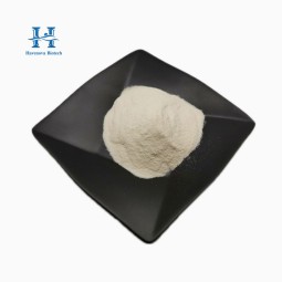 Lactobacillus Acidophilus Powder Factory - High Activity Bacterial Probiotic Powder