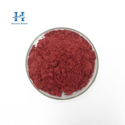 Beet Root Powder Manufacturer - Vegetable Red Beetroot Powder Natural Color