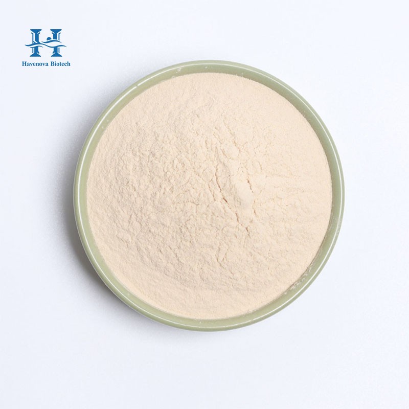 Oat Beta Glucan Powder Factory - Food Grade 70% Powder Oat Protein Powder