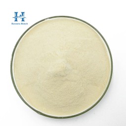 Troxerutin Powder Factory - Factory 98% Sophora Japonica Extract CAS 7085-55-4