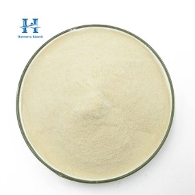Troxerutin Powder Factory - Factory 98% Sophora Japonica Extract CAS 7085-55-4