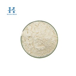 Lactobacillus Reuteri Powder Manufacturer - Healthife Wholesale 100B CFU/g Food Grade