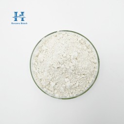 Lactobacillus Paracasei Powder Supplier - Best Selling High Purity Food Grade Probiotics