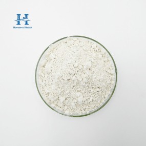 Lactobacillus Paracasei Powder Supplier - Best Selling High Purity Food Grade Probiotics