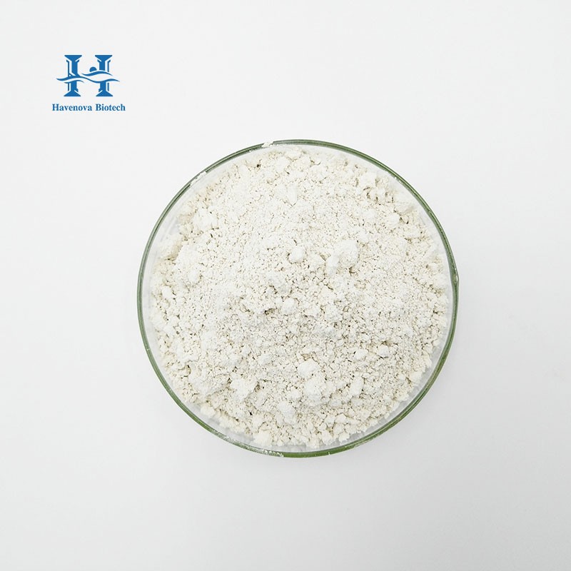 Lactobacillus Paracasei Powder Supplier - Best Selling High Purity Food Grade Probiotics