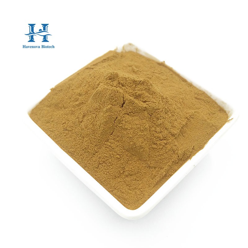 Ashwagandha Extract Powder Supplier - Pure Natural High Quality Ashwagandha Powder