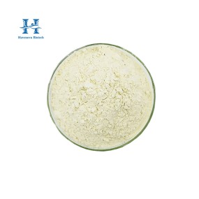 Bifidobacterium Lactis Powder Manufacturer - Top Quality Food Grade Supplement Probiotics