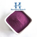 Purple Yam Powder Manufacturer - High Quality Natural Plant Extract for Food Additive