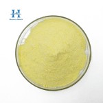 Baicalin Powder Factory - Natural 80%-90% Scutellaria Baicalensis Root Extract Powder