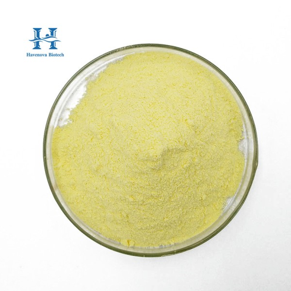 Baicalin Powder Factory - Natural 80%-90% Scutellaria Baicalensis Root Extract Powder