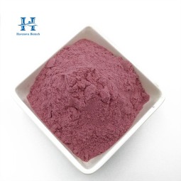 Dragon Fruit Powder Manufacturer - Red Dragon Fruit Bulk Pink Pitaya Powder