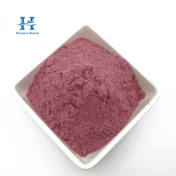 Dragon Fruit Powder Manufacturer - Red Dragon Fruit Bulk Pink Pitaya Powder