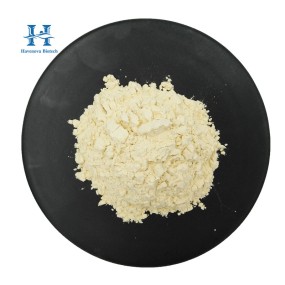 Hydrolyzed Beef Meal Supplier - High Protein 65%-70% for Pet Food Enzyme Treatment