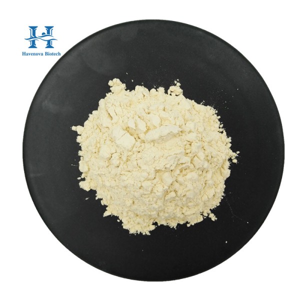 Hydrolyzed Beef Meal Supplier - High Protein 65%-70% for Pet Food Enzyme Treatment