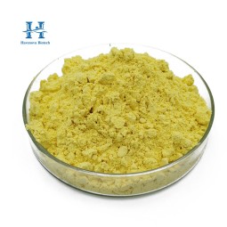 Orange Peel Extract Manufacturer - Wholesale Citrus Reticulata Peel Extract Hesperidin 90%