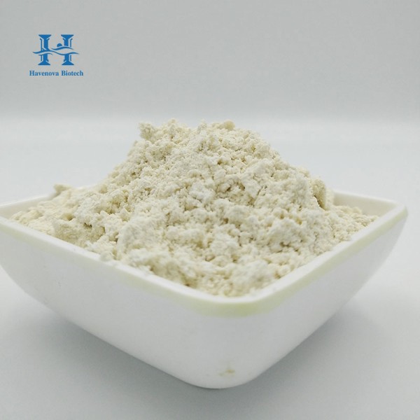 L-Carnitine Powder Factory - High Quality 50% Feed Grade for Pets Amino Acid Vitamin