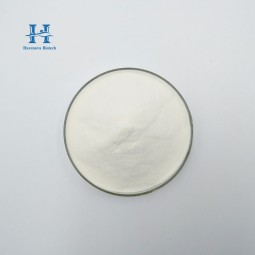 Probiotic Powder Supplier - Wholesale Lactobacillus Rhamnosus Powder 10 Billion CFU/g