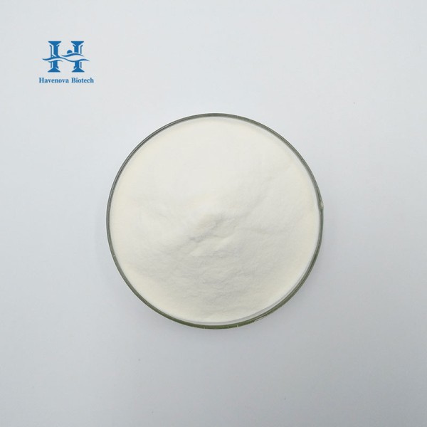 Probiotic Powder Supplier - Wholesale Lactobacillus Rhamnosus Powder 10 Billion CFU/g