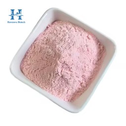 Sakura Cherry Blossom Powder Manufacturer - High Quality Japanese Sakura Extract