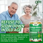 Ginkgo Biloba Softgel Factory - OEM Pure Organic Ginkgo Leaf Extract Healthy Circulation Support