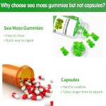 Sea Moss Gummies Supplier - Private Label Vegan Organic Irish Keto Detox Thyroid Support