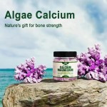 Calcium Magnesium Zinc Gummies Factory - OEM Private Label with Vitamin D3 Filled