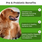 Dog Probiotics Treats Manufacturer - OEM ODM Digestive Enzymes Prebiotics Digestive Support