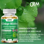 Ginkgo Biloba Softgel Factory - OEM Pure Organic Ginkgo Leaf Extract Healthy Circulation Support