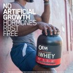 Whey Protein Isolate Factory - Muscle Mass Gainer Pre Workout Powder Sport Nutrition OEM