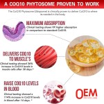 COQ10 Capsules Supplier - OEM Private Label 450mg Coenzyme Q10 Heart Nerve System Support