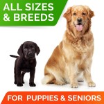 Dog Probiotics Treats Factory - Digestive Enzymes Prebiotics Chewable Fiber Improve Digestion