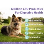 Dog Probiotics Manufacturer - Wholesale Digestive Enzymes Chews for Diarrhea Constipation