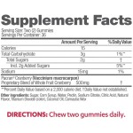 Cranberry Gummies Factory - OEM Urinary Tract Health Immune Support Antioxidant Vitamin C