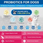 Pet Health Care Supplement Manufacturer - Dog Probiotic Flea Tick Treatment Calming Anxiety