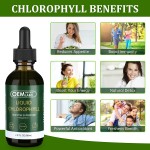 Chlorophyll Liquid Drops Supplier - Factory Hot Sale Energy Boost Immune Support Detox
