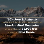 Himalayan Shilajit Resin Factory - OEM Gel Supplement 500mg Original Siberian Pure 85+ Humic Acid