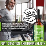 Sea Moss Liquid Drops Supplier - Custom 1000mg Irish Gel with Bladderwrack Elderberry Immunity