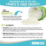 Pet Goat Milk Powder Manufacturer - OEM Probiotics Allergy Immune Supplement for Dogs