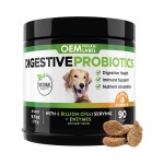 Dog Probiotics Soft Chews Manufacturer - Custom Digestive Probiotic Vitamins Immunity Health