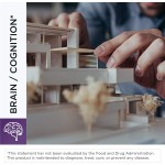 Nootropics Capsules Supplier - OEM Brain Booster Improve Memory Focus Concentration Pills