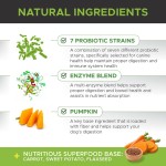 Dog Probiotics Chews Supplier - Private Label for Gut Health Digestive Support Immunity